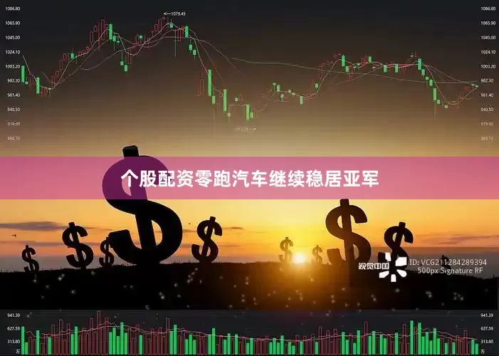 个股配资零跑汽车继续稳居亚军