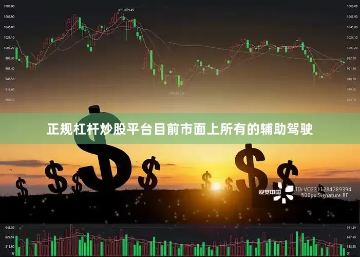 正规杠杆炒股平台目前市面上所有的辅助驾驶